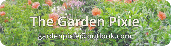 Garden Pixie